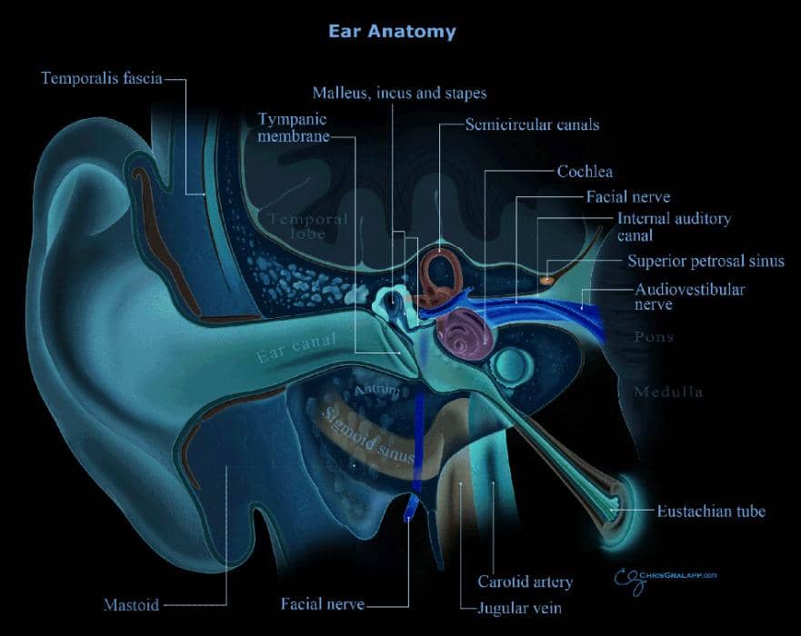 Patulous eustachian tube